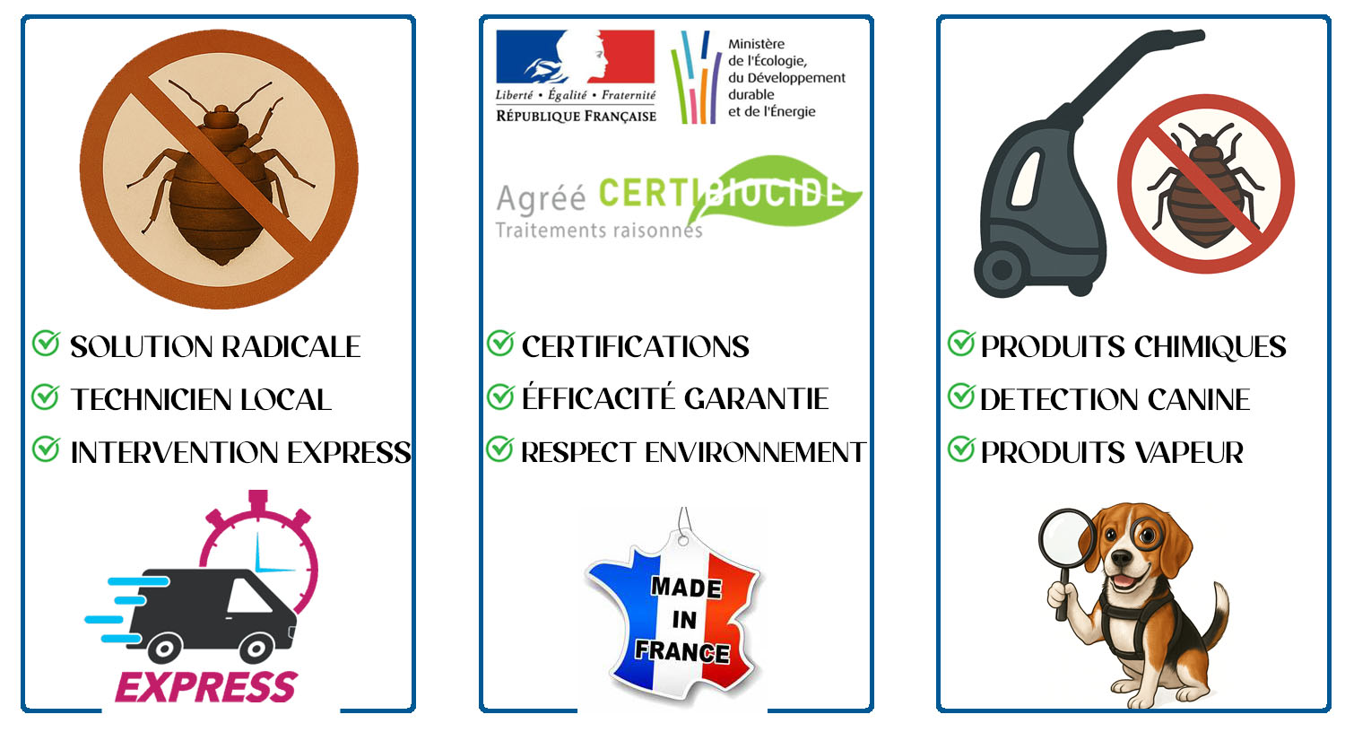 Punaises de Lit Ablon sur Seine